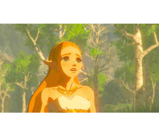 Switch The Legend of Zelda: Breath of the Wild - 345321 - zdjęcie 2